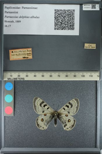 Media type: image;   Entomology 180413